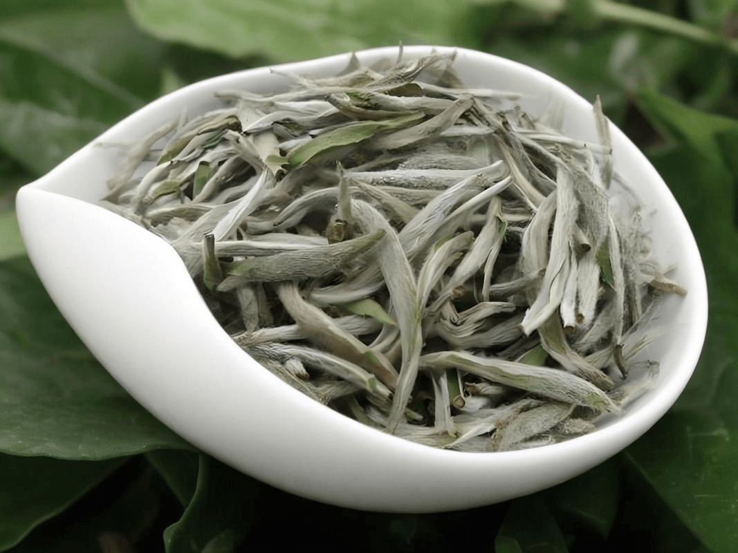 Baihao Yinzhen: The Pinnacle of Chinese White Tea - NebuTea