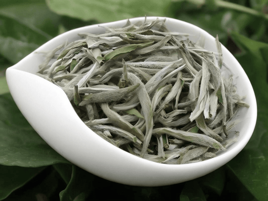 Baihao Yinzhen: The Pinnacle of Chinese White Tea - NebuTea