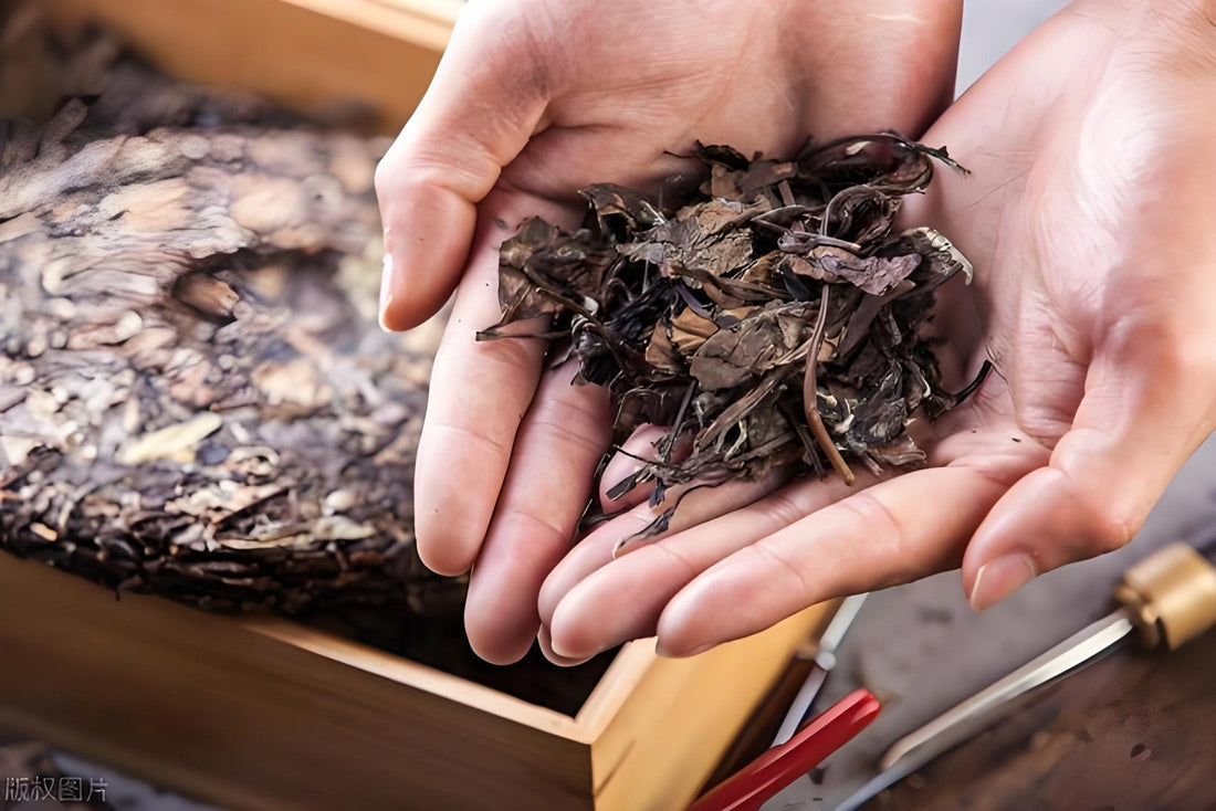 Brewing and Tasting Tea Cakes: A Step-by-Step Guide for Beginners to Advanced - NebuTea