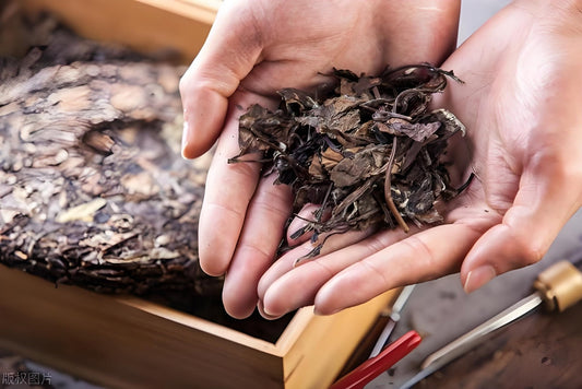 Brewing and Tasting Tea Cakes: A Step-by-Step Guide for Beginners to Advanced - NebuTea