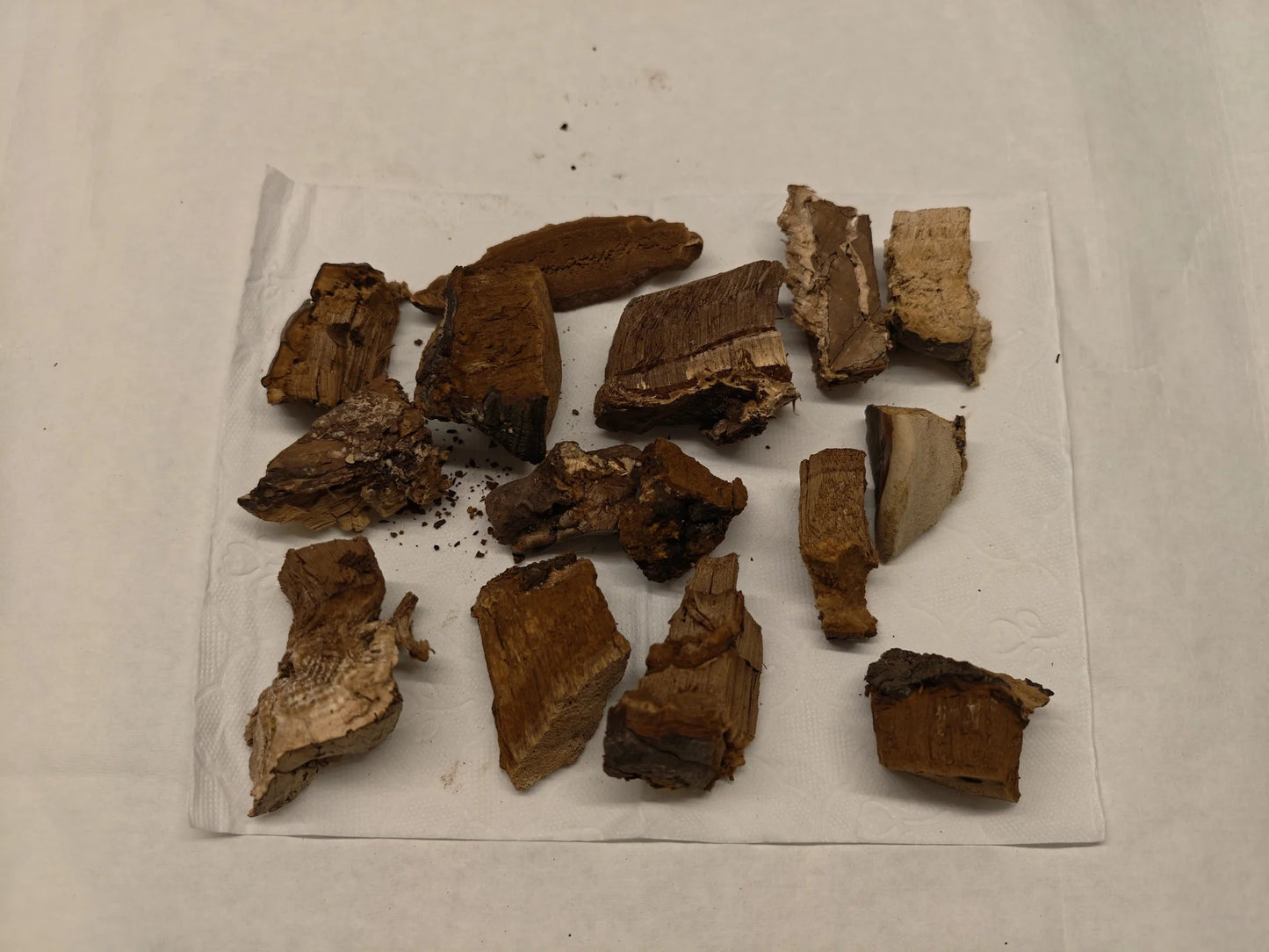 Wild Ganoderma Tea - NebuTea