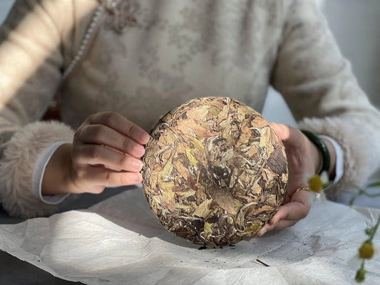 What is White Tea?  China’s Delicate Unprocessed Treasure - NebuTea