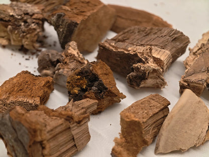 Wild Ganoderma Tea - NebuTea