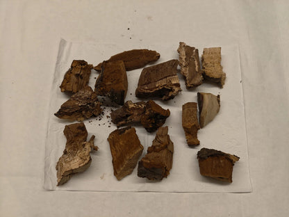 Wild Ganoderma Tea - NebuTea